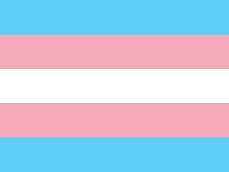 Trans flag Online Sale