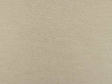 Home Décor Dimout Fabric - Dimout & Blackout - Lorelle - Beige For Cheap